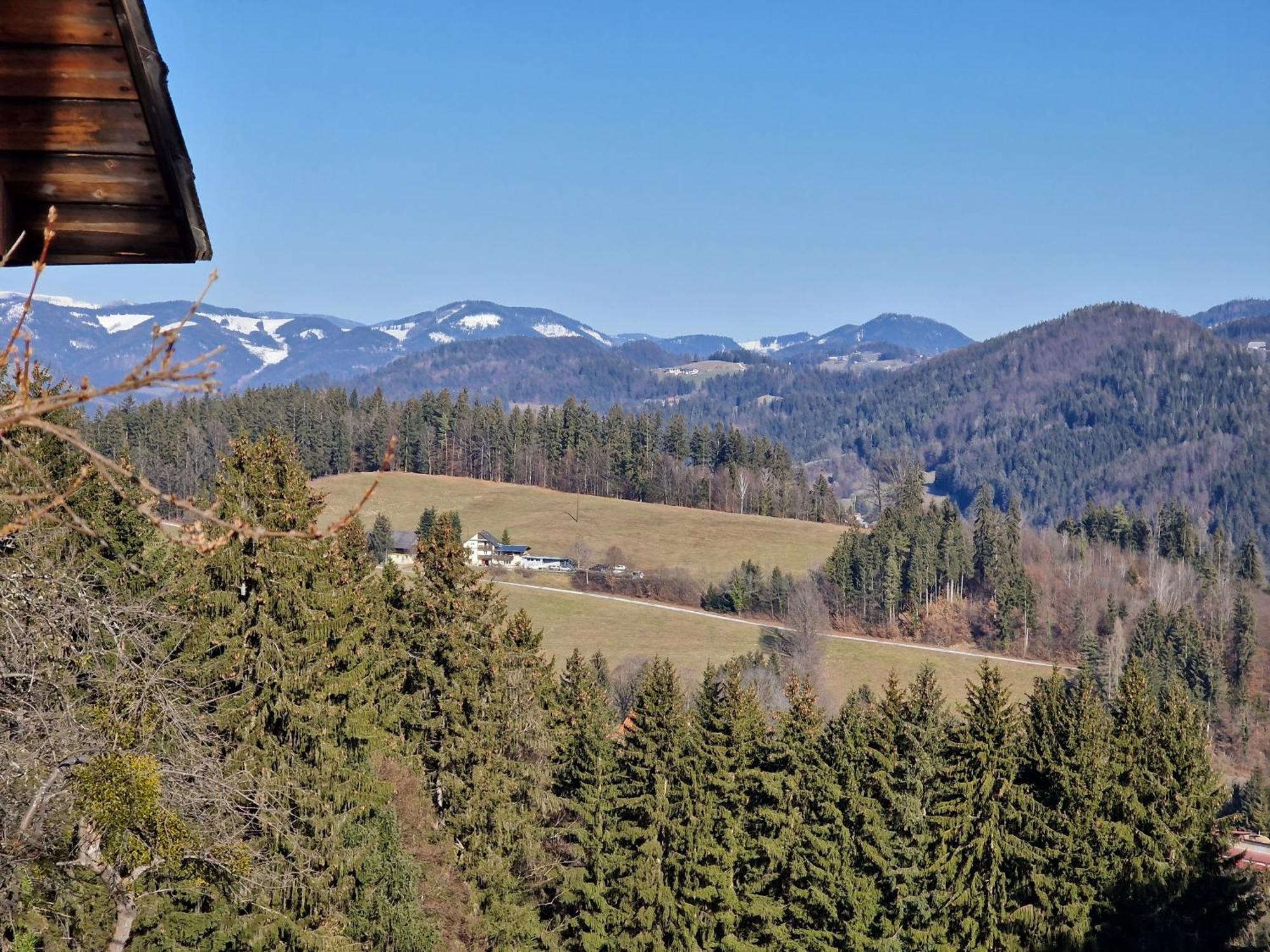 Natur- & Erlebnis Ferienhaus Voitsberg Buitenkant foto